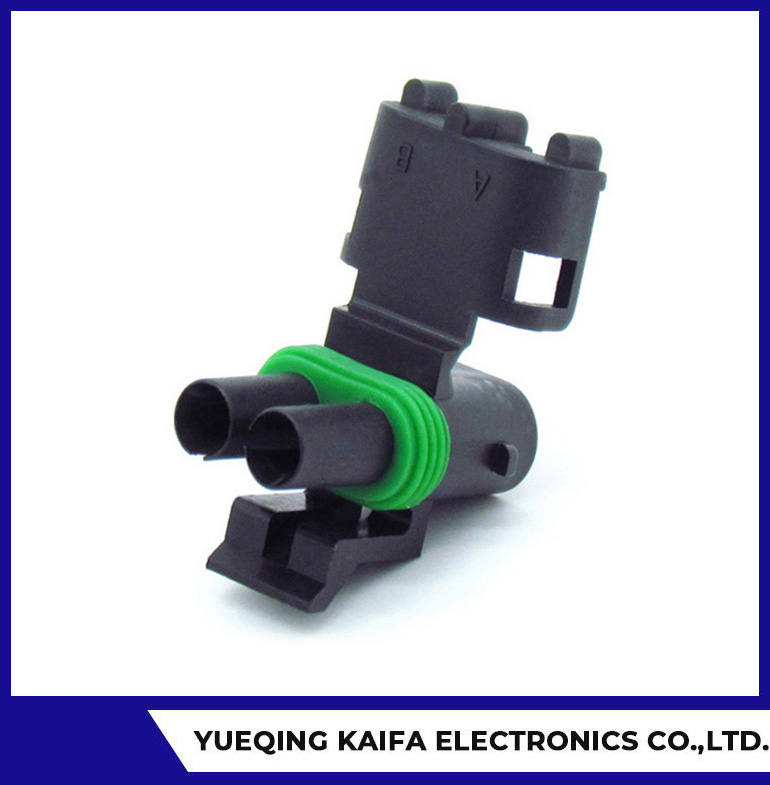 2 Pin Delphi Whether Connector